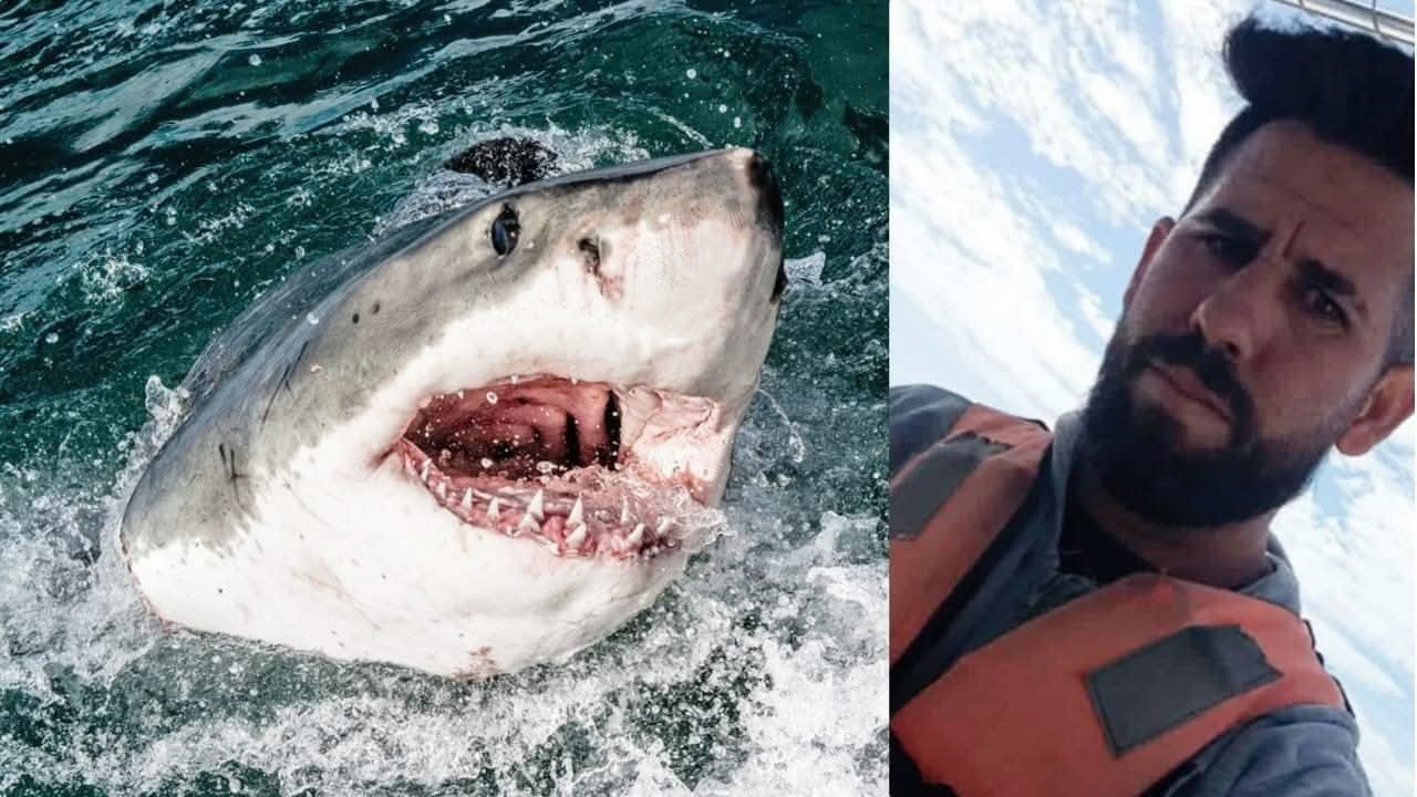 Pescador sobrevive a ataque de tiburón gracias al rescate de un médico cubano
